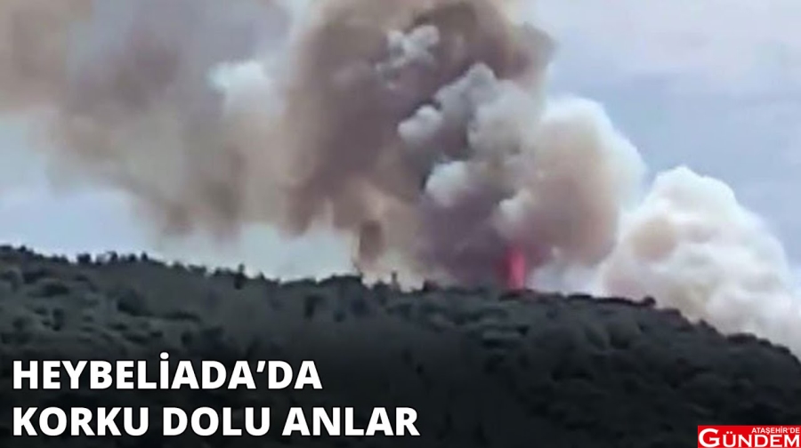 BU SEFER YANGININ HEDEFİ HEYBELİADA! ataşehir gündem heybeliada yangın